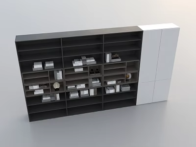 Modern Bookcase With Dark And White Finish Multiple Shelves Books And Decor 3d model