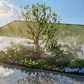 Outdoor Plant Combination with Tree Ferns Shrubs Blue Flowers Water Feature and Hexagonal Stone Pavement