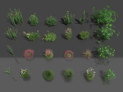 Variety of Aquatic Plants Featuring Different Green and Pink Foliage Types 3d model