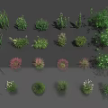 Variety of Aquatic Plants Featuring Different Green and Pink Foliage Types