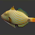 Colorful Tropical Fish With Yellow And Blue Stripes Vibrant Body And Green Fins