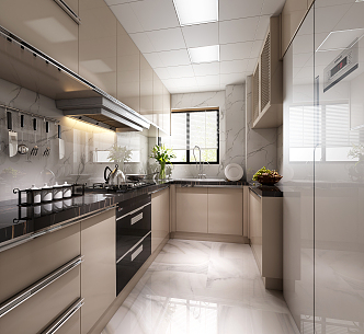 Modern Kitchen 3d model