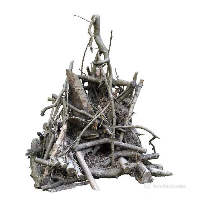 Natural Bush Structure Composed of Dry Branches Trunks and Wooden Twigs in Outdoor Space 3d model 