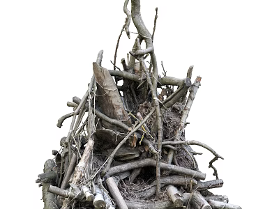Natural Bush Structure Composed of Dry Branches Trunks and Wooden Twigs in Outdoor Space 3d model