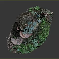 Green Plants Growing on Old Tree Stump with Moss and Small Mushrooms