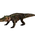 Reptile Crocodile Featuring Detailed Green Brown Scales Powerful Limbs And Long Tail