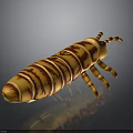 Orange and Brown Striped Caterpillar With Segmented Body and Multiple Legs on Dark Background