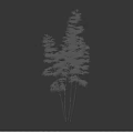 Bamboo Plants With Green Foliage And Silhouetted Figure