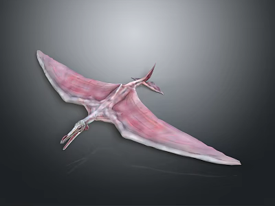 Pink Pterosaur Model With Extended Wings Long Beak And Detailed Body Structure 3d model