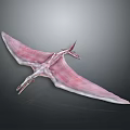 Pink Pterosaur Model With Extended Wings Long Beak And Detailed Body Structure