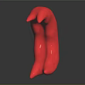 Curved Red Organ and Hair Sculpture with Smooth Surface and Abstract Design