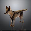 3D Model Character of Brown Dingo Standing on Dark Reflective Background 3d model