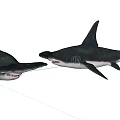 Realistic 3D Rendered Sharks With Sharp Teeth And Dorsal Fins On White Background