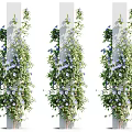 Vines Climbing on White Pillars with Purple Flowers and Green Leaves