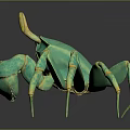 Detailed 3D Rendered Green Crab With Yellow Eyes And Reflection On Dark Background