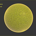 Lush Green Grass Covered Spherical Ball With Detailed Textured Surface On Dark Background 3d model