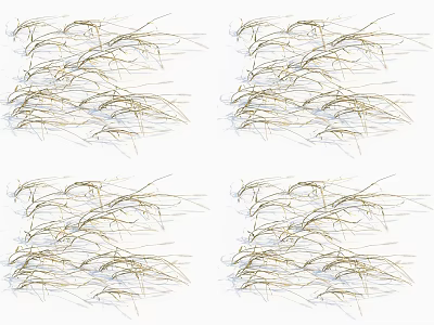 Dried Natural Grass Bundles With Soft Golden Texture And Decorative Arrangement For Home Decor 3d model