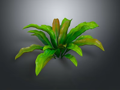 Vibrant Tropical Foliage Plant with Green and Brown Broad Shiny Leaves and Lush Growth 3d model