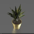 Green Leaf Bonsai Plant in Gold Ceramic Pot with Decorative Small Stones