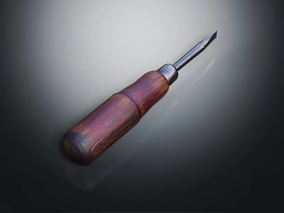 Professional Hardware Tool Screwdriver With Wooden Handle And Metal Tip For Precision Work 3d model