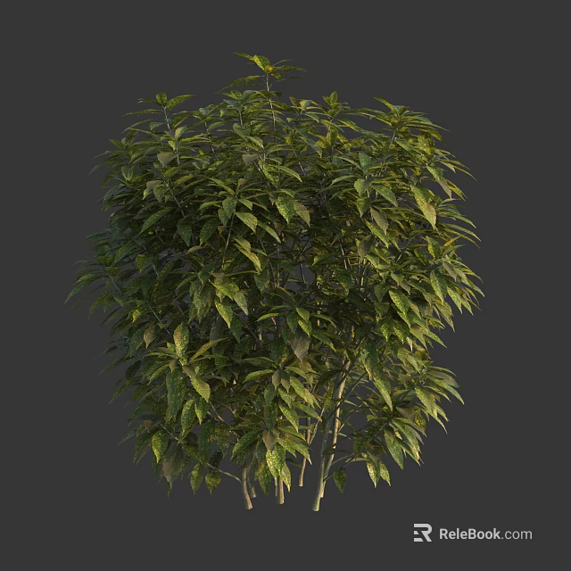 Vibrant Green Bush With Lush Dense Foliage And Healthy Strong Branches 3d model 