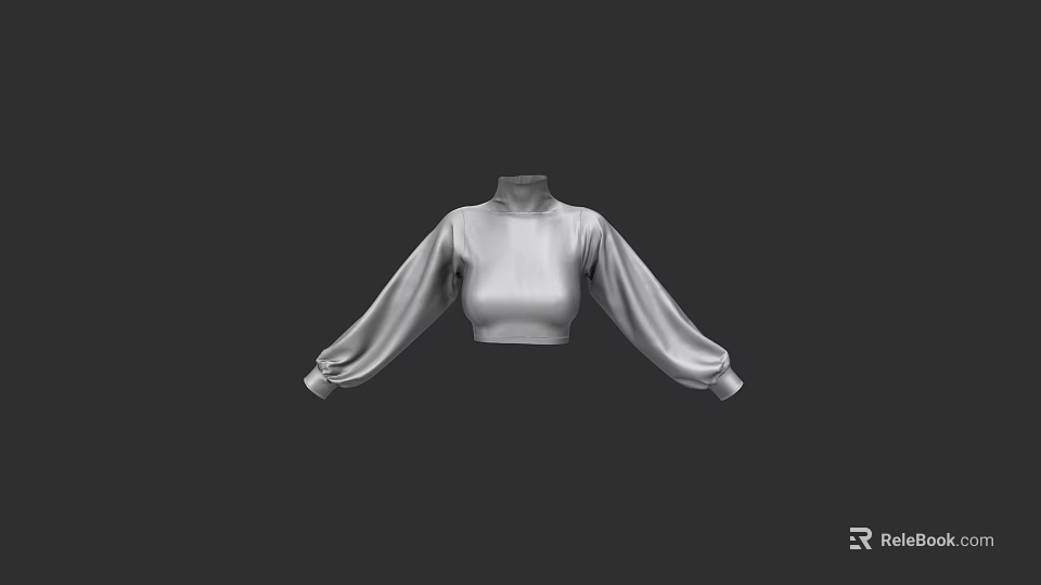 Stylish High Neck Cropped Top With Puffed Sleeves And Fitted Bodice Design 3d model 
