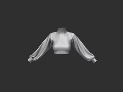 Stylish High Neck Cropped Top With Puffed Sleeves And Fitted Bodice Design 3d model