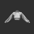 Stylish High Neck Cropped Top With Puffed Sleeves And Fitted Bodice Design