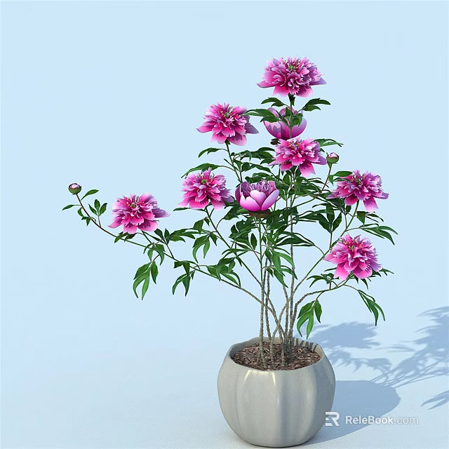 Bonsai Potted Plant With Pink Flowers And Green Leaves In Light Colored Pot 3d model 
