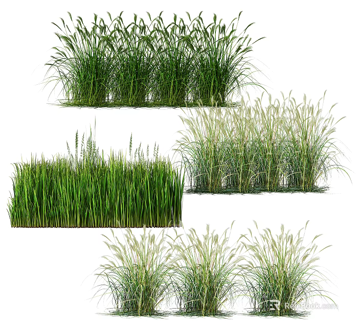 Various Types of Green Agricultural Crops with Different Herbal Plant Growth Forms 3d model 