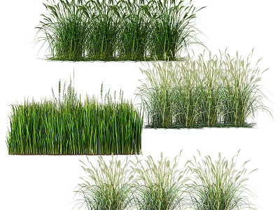 Various Types of Green Agricultural Crops with Different Herbal Plant Growth Forms 3d model