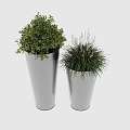 Two Silver Conical Potted Plants With Different Green Foliage In Modern Planters 3d model