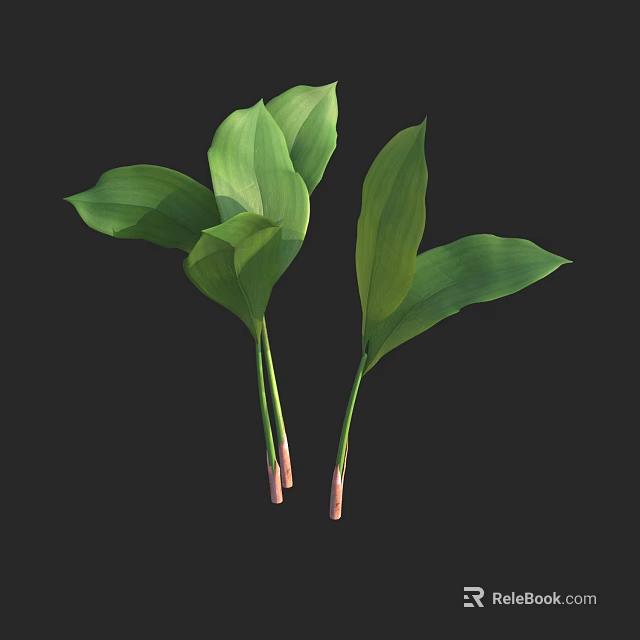 Fresh Green Broad Leaves in Two Bunches with Pink Base Stems and Vibrant Foliage 3d model 