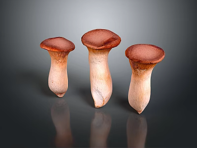 Three Fresh Mushrooms With Brown Caps And Light Stems On Dark Surface 3d model