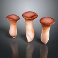 Three Fresh Mushrooms With Brown Caps And Light Stems On Dark Surface