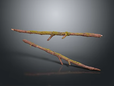 Natural Plant Branches with Green Moss on Brown Stems Against Dark Background 3d model