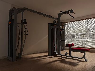 Indoor Gym With Professional Fitness Equipment And Red Bench 3d model