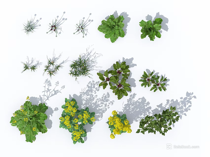 Various Green Plants And Yellow Flowers Arranged On White Background 3d model