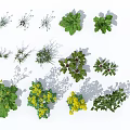 Various Green Plants And Yellow Flowers Arranged On White Background 3d model