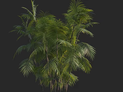 Tall Arbor With Lush Green Leaves And Dense Foliage Structure 3d model