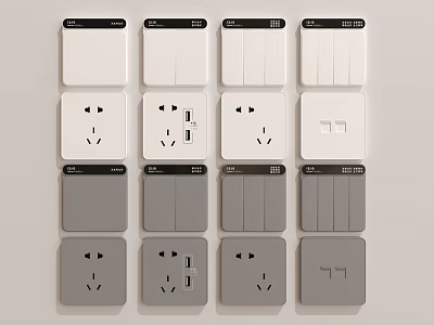 White and Gray Switch Panels with Socket USB Port and Multiple Design Options 3d model