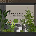 Serene Natural Indoor Landscape Interior Design With Lush Green Plants And Decorative Elements
