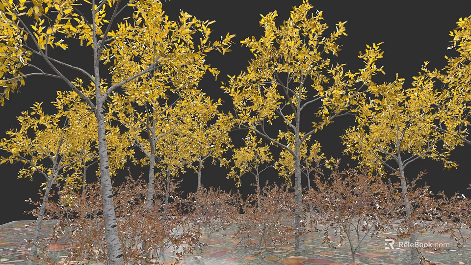 Tall Deciduous Trees With Yellow Leaves In Autumn Landscape And Fallen Leaves 3d model 