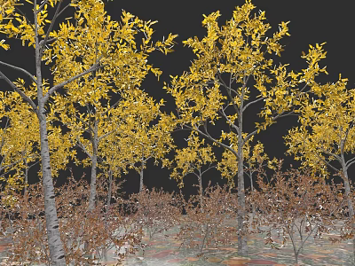 Tall Deciduous Trees With Yellow Leaves In Autumn Landscape And Fallen Leaves 3d model