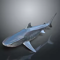 Detailed 3D Shark Model With Metallic Texture on Dark Reflective Background