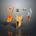 Various Colored Animal Skulls In Different Shapes On Dark Background With Reflections