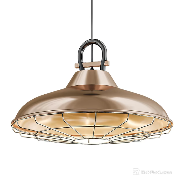 Copper Metal Pendant Light With Dome Shaped Shade Black Hanging Hook And Wire Cage 3d model 