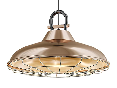 Copper Metal Pendant Light With Dome Shaped Shade Black Hanging Hook And Wire Cage 3d model