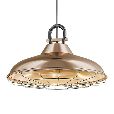 Copper Metal Pendant Light With Dome Shaped Shade Black Hanging Hook And Wire Cage 3d model