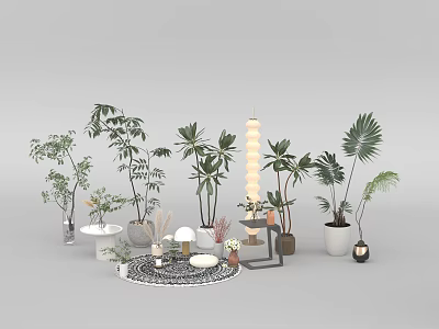 Bonsai Potted Plants With Various Green Plants Different Flower Pots And Decorative Ornaments 3d model